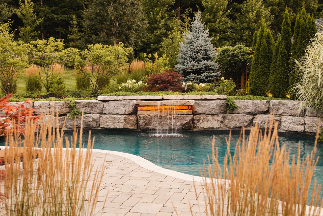 Backyard pool